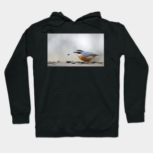 Nuthatch Hoodie